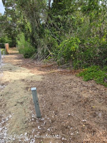 1414 Maximilian Avenue, Spring Hill, FL 34609