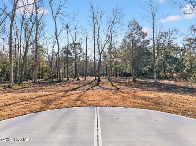 1880 Healing Water Lane SW, Supply, NC 28462