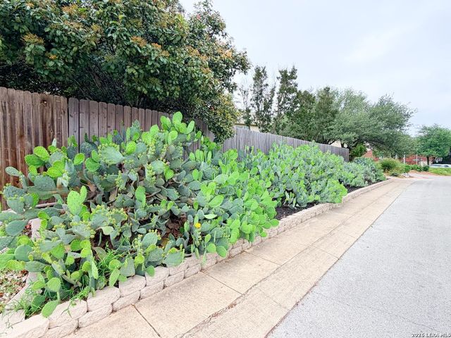 22303 Mesa Butte, San Antonio, TX 78258
