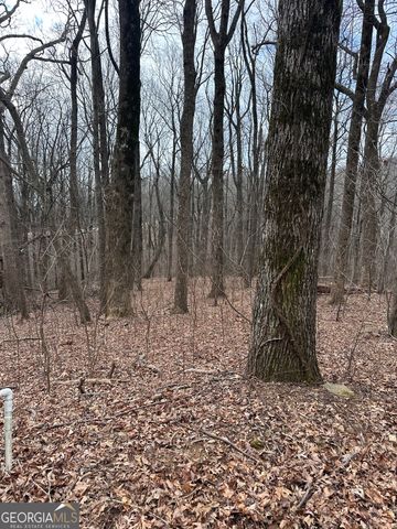 46 Highlands Parkway, Jasper, GA 30143