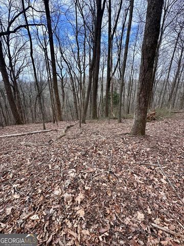 46 Highlands Parkway, Jasper, GA 30143