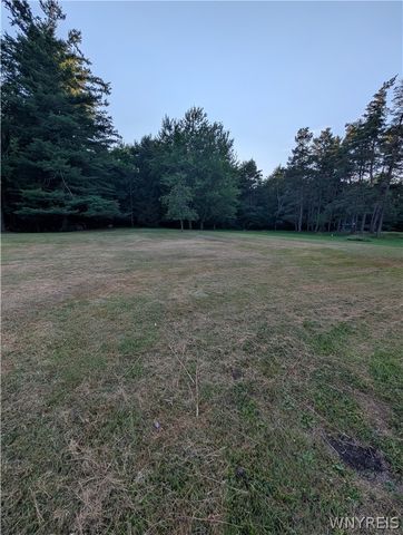 7236 Lower East Hill Road, Boston, NY 14033