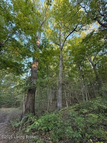 11407 Bardstown Creek Rd, Louisville, KY 40291