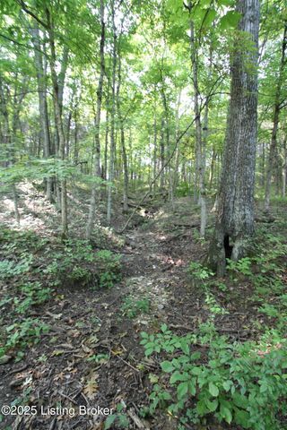 11407 Bardstown Creek Rd, Louisville, KY 40291