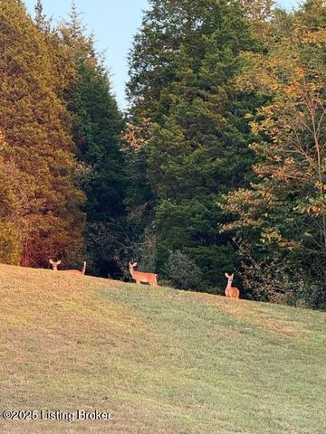 11407 Bardstown Creek Rd, Louisville, KY 40291