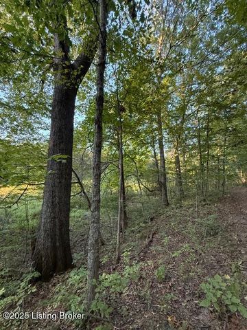 11407 Bardstown Creek Rd, Louisville, KY 40291