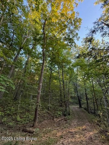 11407 Bardstown Creek Rd, Louisville, KY 40291