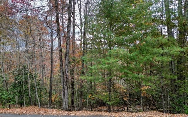 LT 10 Amy Lynn Drive, Blairsville, GA 30512