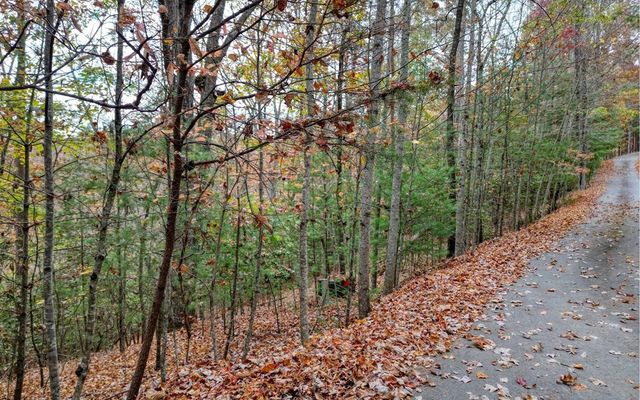 LT 10 Amy Lynn Drive, Blairsville, GA 30512