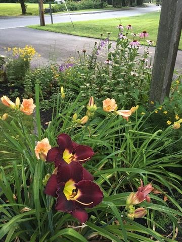 142 Abbott St, North Andover, MA 01845