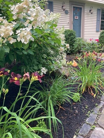 142 Abbott St, North Andover, MA 01845