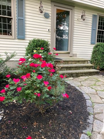 142 Abbott St, North Andover, MA 01845