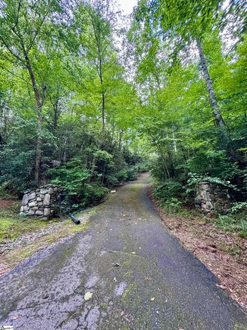 173 Mountain Haven Lane, Zirconia, NC 28790