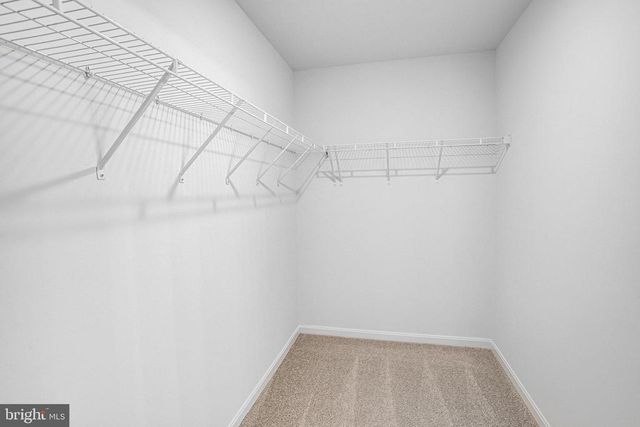 513 ASTER LN, Orange, VA 22960