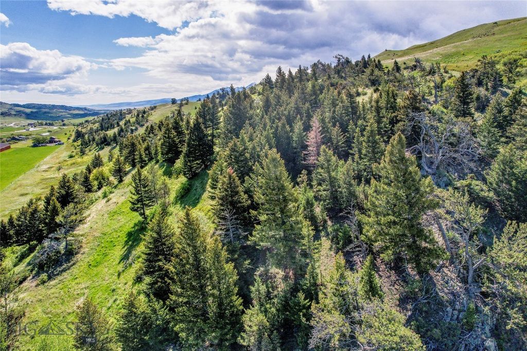 TBD US Highway 10 W, Livingston, MT 59047 photo 10