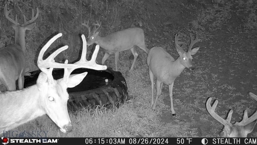 TBD US Highway 10 W, Livingston, MT 59047 photo 17