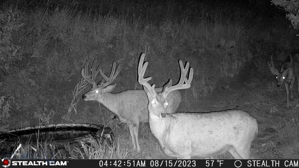 TBD US Highway 10 W, Livingston, MT 59047 photo 18