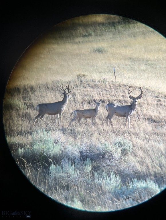 TBD US Highway 10 W, Livingston, MT 59047 photo 19