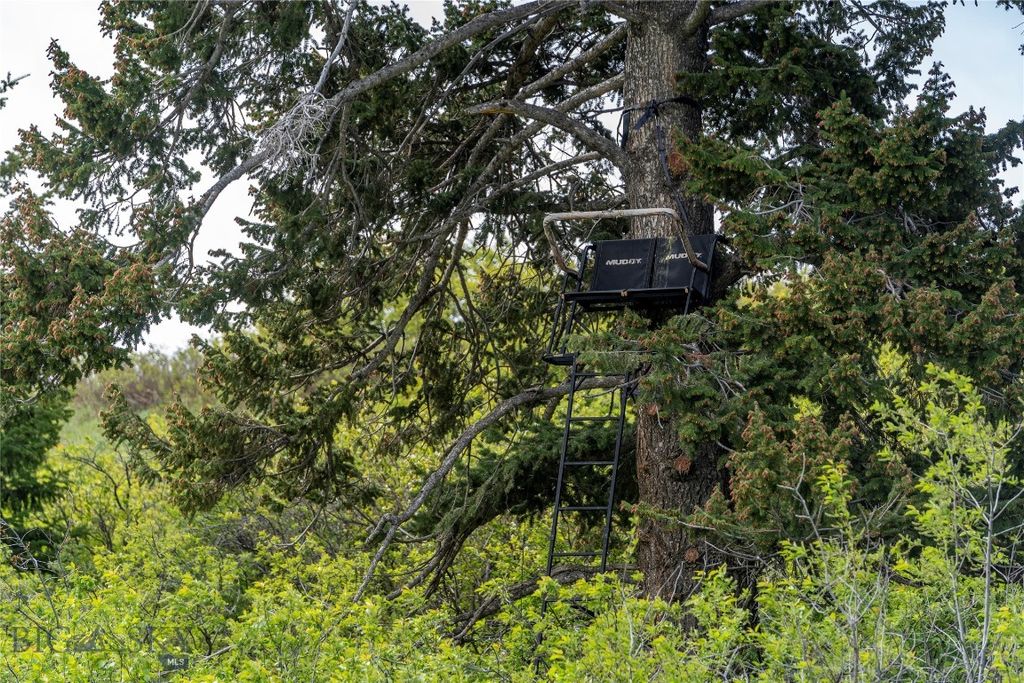 TBD US Highway 10 W, Livingston, MT 59047 photo 22