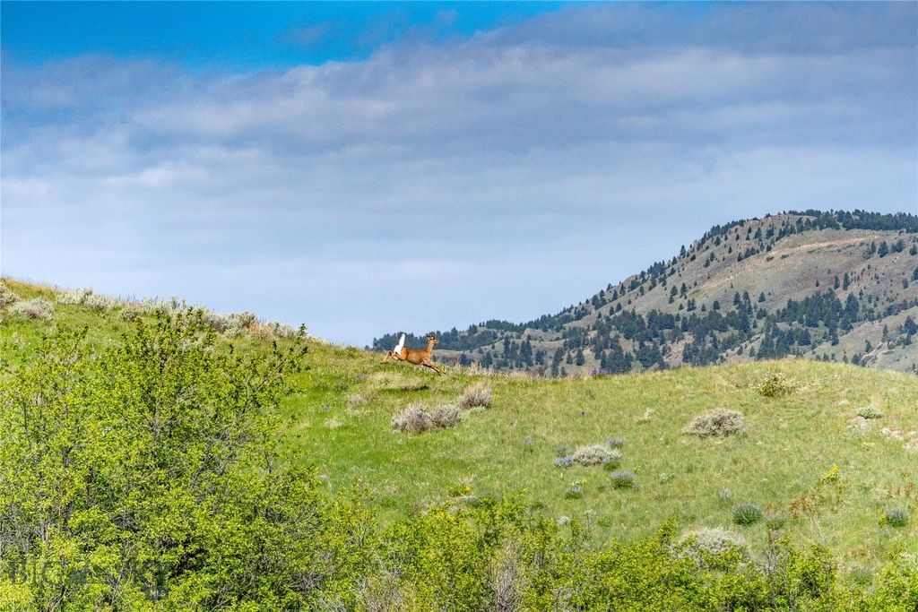 TBD US Highway 10 W, Livingston, MT 59047 photo 23