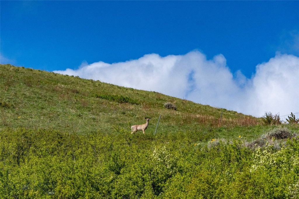 TBD US Highway 10 W, Livingston, MT 59047 photo 24