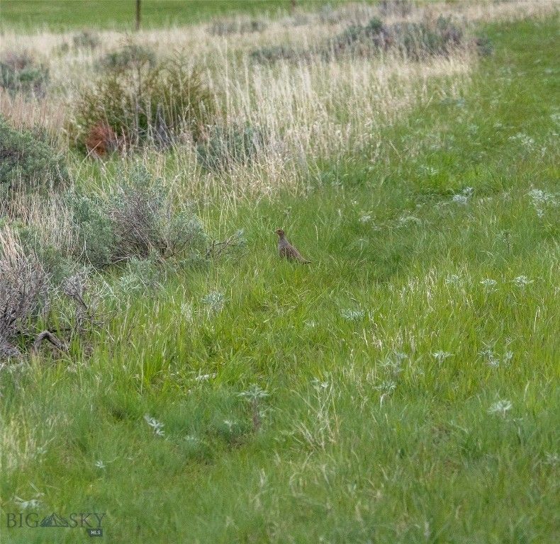 TBD US Highway 10 W, Livingston, MT 59047 photo 25