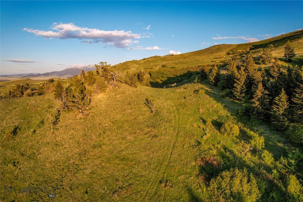 TBD US Highway 10 W, Livingston, MT 59047 photo 35