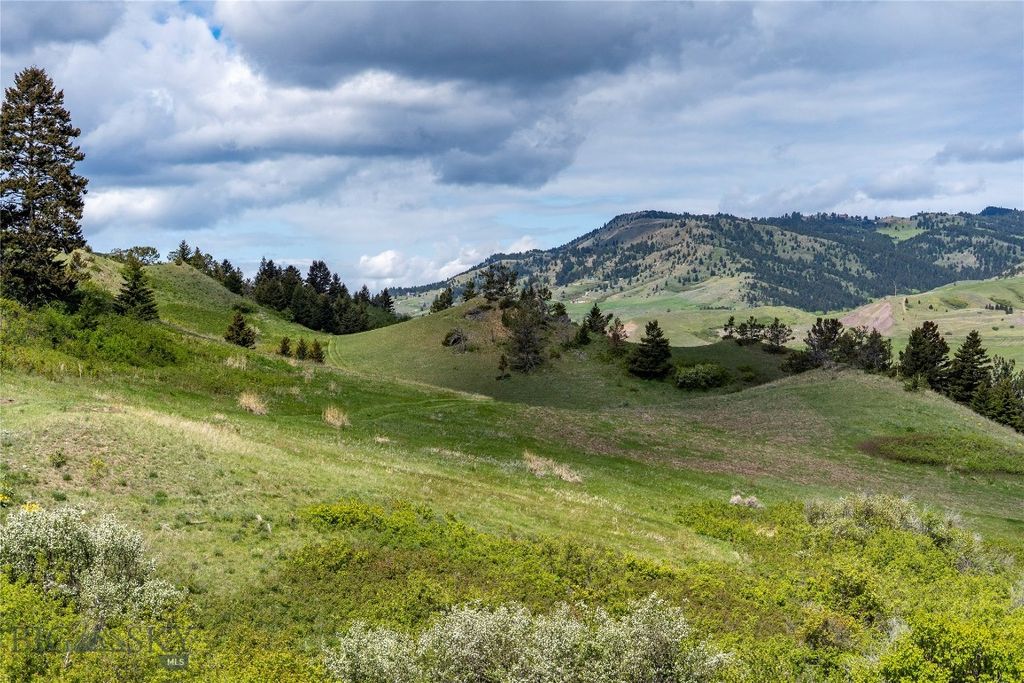 TBD US Highway 10 W, Livingston, MT 59047 photo 36