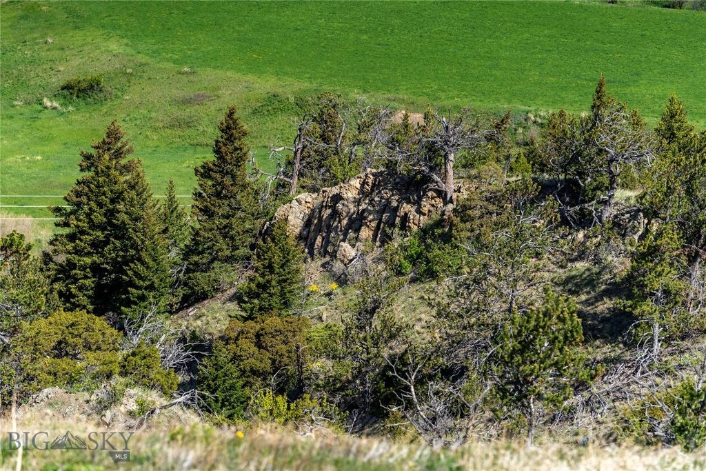 TBD US Highway 10 W, Livingston, MT 59047 photo 68