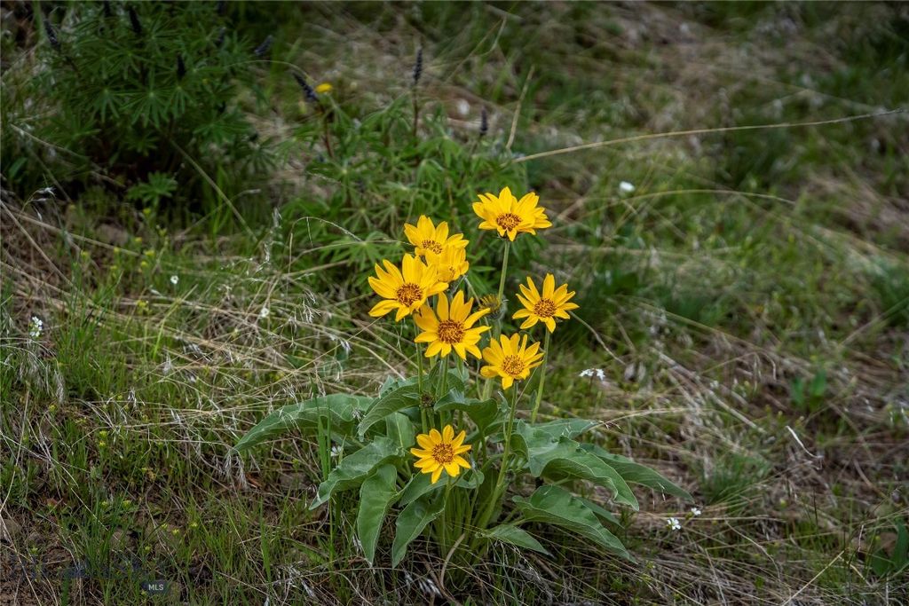 TBD US Highway 10 W, Livingston, MT 59047 photo 76