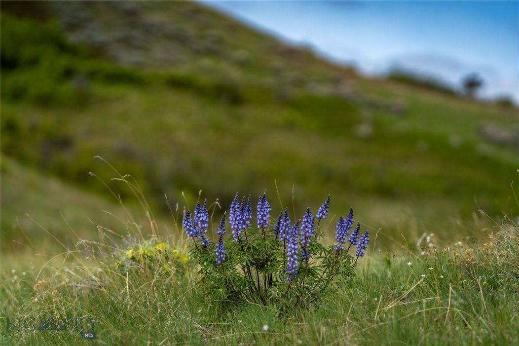 TBD US Highway 10 W, Livingston, MT 59047 photo 77