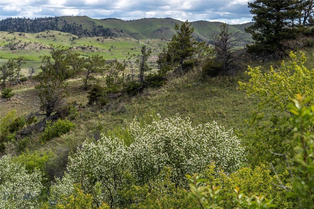 TBD US Highway 10 W, Livingston, MT 59047 photo 9