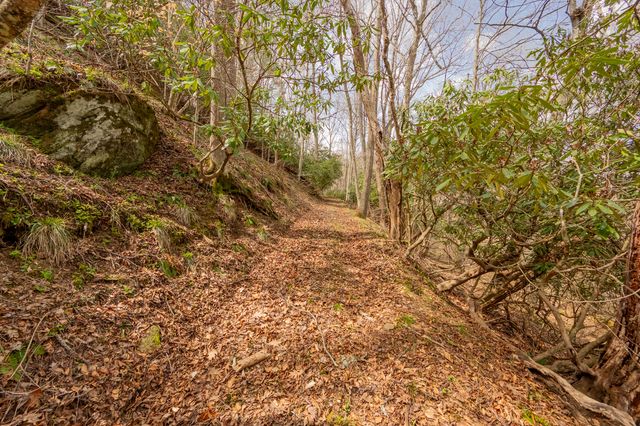 183 Pine Mountain RD NE, Floyd, VA 24091
