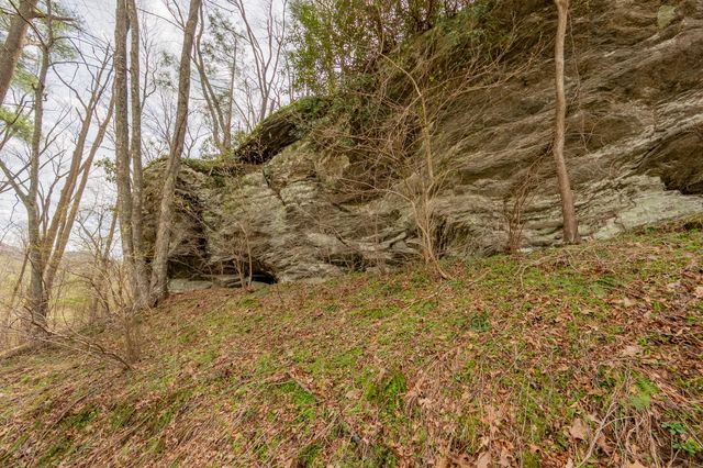 183 Pine Mountain RD NE, Floyd, VA 24091