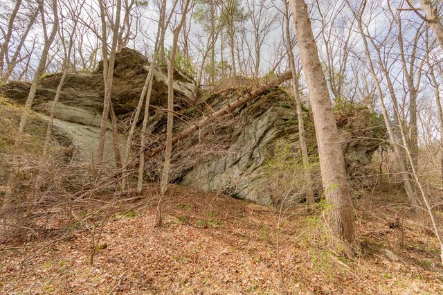 183 Pine Mountain RD NE, Floyd, VA 24091