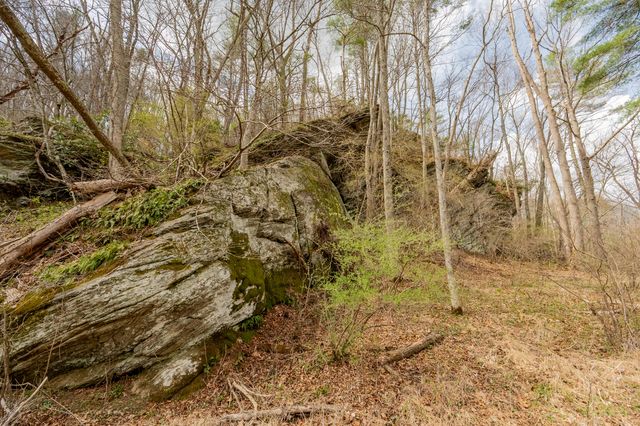 183 Pine Mountain RD NE, Floyd, VA 24091