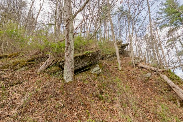 183 Pine Mountain RD NE, Floyd, VA 24091
