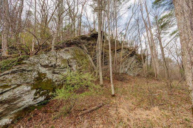 183 Pine Mountain RD NE, Floyd, VA 24091