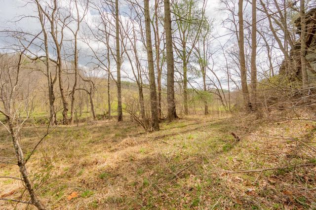183 Pine Mountain RD NE, Floyd, VA 24091