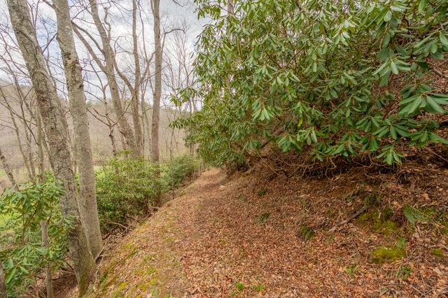 183 Pine Mountain RD NE, Floyd, VA 24091