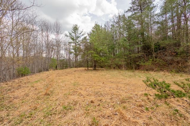 183 Pine Mountain RD NE, Floyd, VA 24091