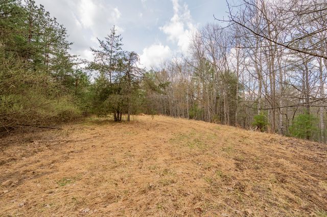183 Pine Mountain RD NE, Floyd, VA 24091