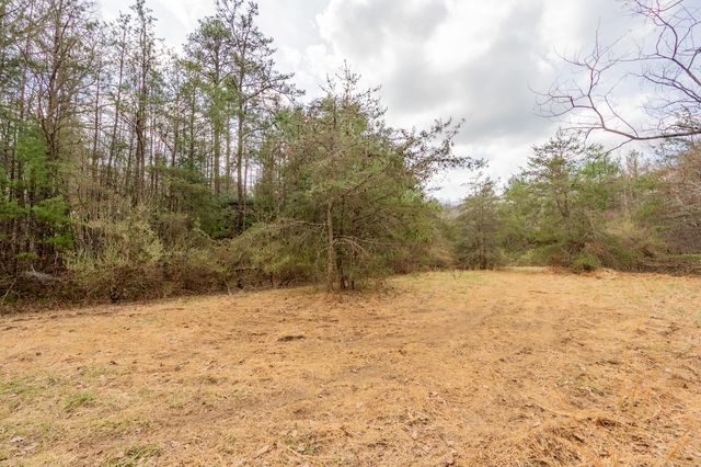 183 Pine Mountain RD NE, Floyd, VA 24091