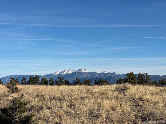 13001 County Road 261p, Nathrop, CO 81236