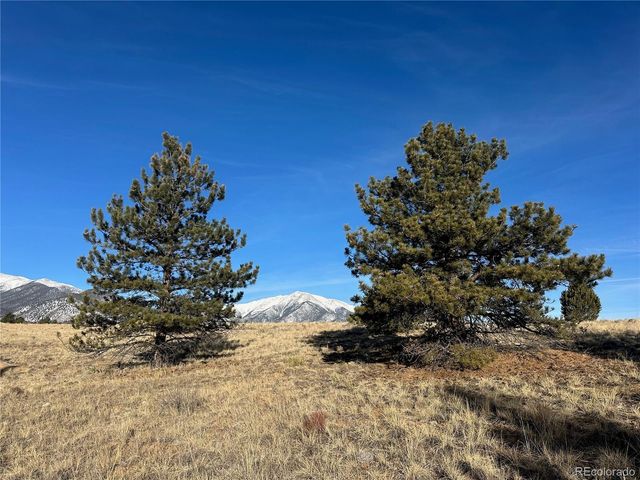 13001 County Road 261p, Nathrop, CO 81236