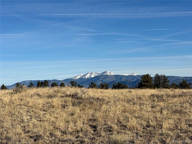 13001 County Road 261p, Nathrop, CO 81236