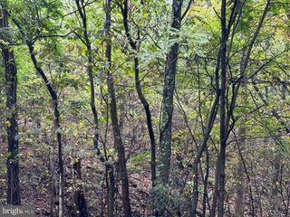 LOT 7 OAK DR, Winchester, VA 22603