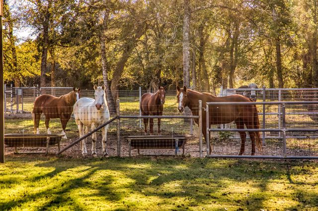 39761 Mesquite Road, Hempstead, TX 77445