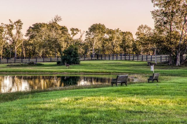 39761 Mesquite Road, Hempstead, TX 77445