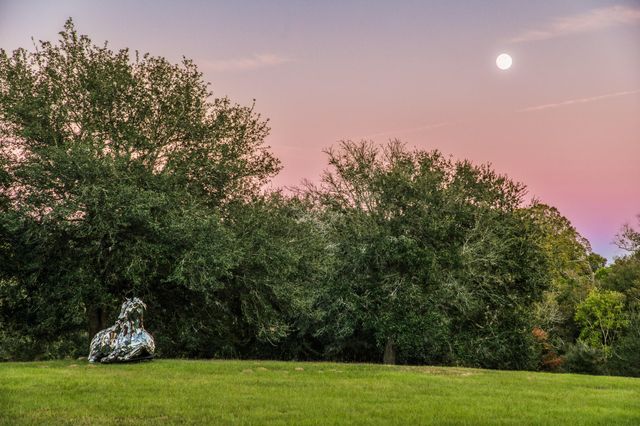 39761 Mesquite Road, Hempstead, TX 77445